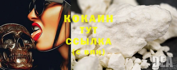 шишки Володарск