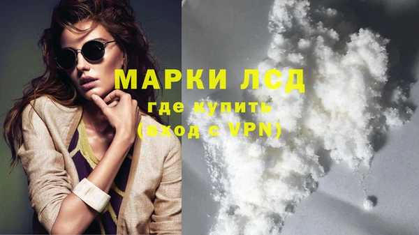 шишки Володарск