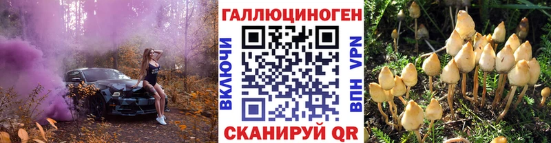 Галлюциногенные грибы Psilocybe Калач-на-Дону